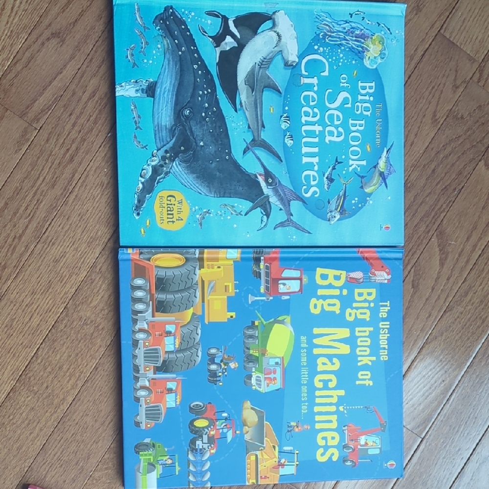 Usborne Big Book Set - Sea Creatures & Big Machines - Blue